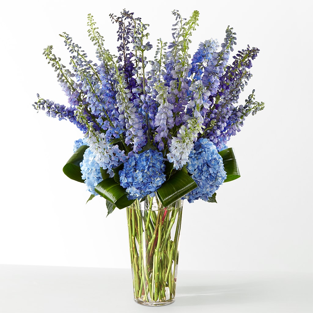 The Editorial –  A Special Design Florist, Newport News VA