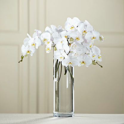 White Phalaenopsis Bouquet –  A Special Design Florist, Newport News VA