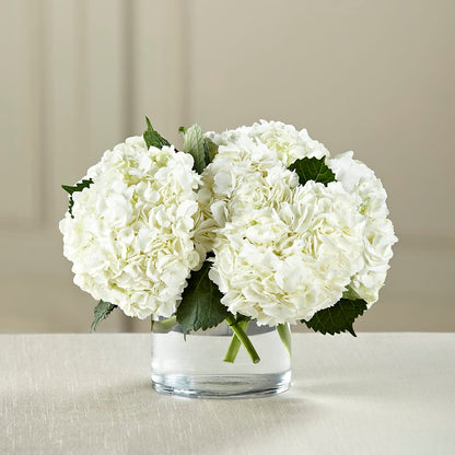 White Hydrangea Bouquet –  A Special Design Florist, Newport News VA