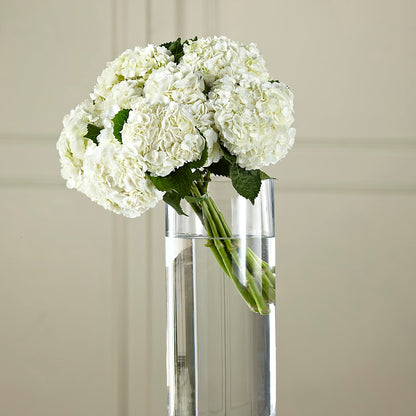 White Hydrangea Hand-Tied Bouquet –  A Special Design Florist, Newport News VA